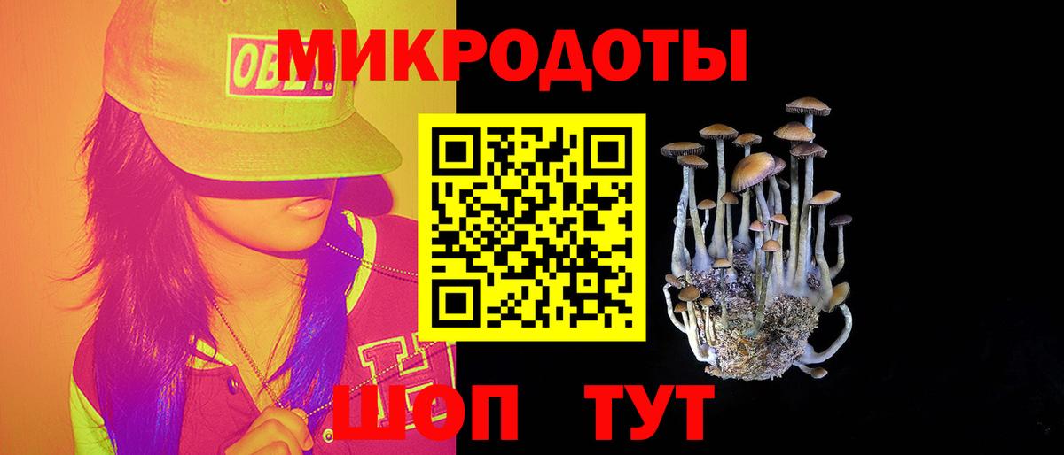 Псилоцибиновые грибы MAGIC MUSHROOMS Зерноград